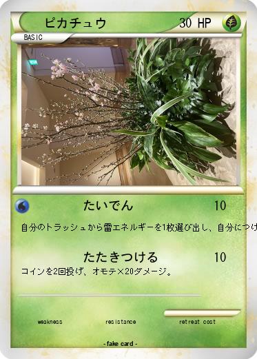Pokemon ピカチュウ