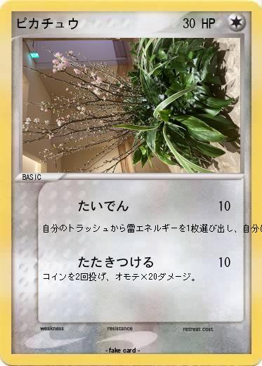 Pokemon ピカチュウ