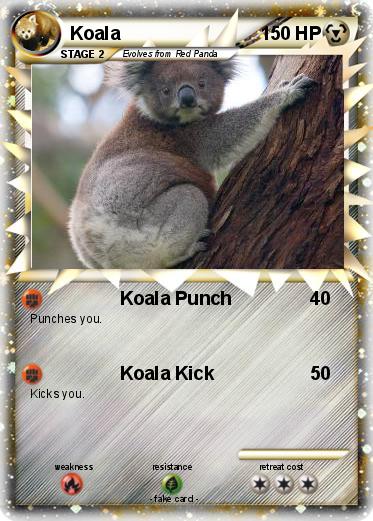Pokemon Koala