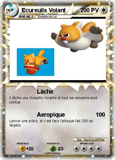 Pokemon Ecureuils Volant