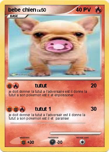 Pokemon bebe chien