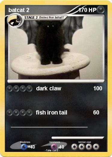 Pokemon batcat 2