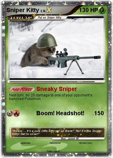 Pokemon Sniper Kitty