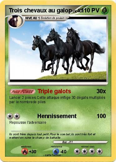 Pokemon Trois chevaux au galop