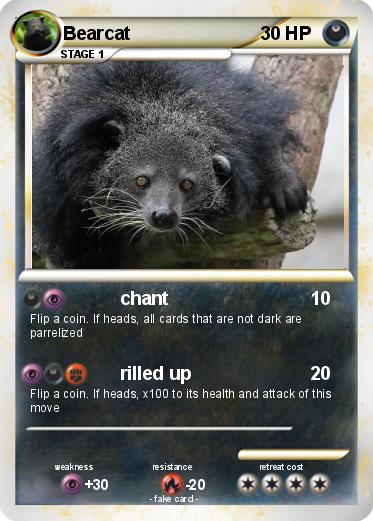Pokemon Bearcat