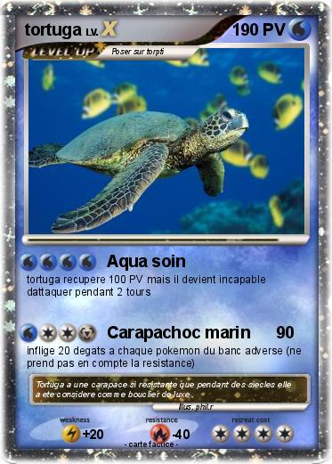 Pokemon tortuga