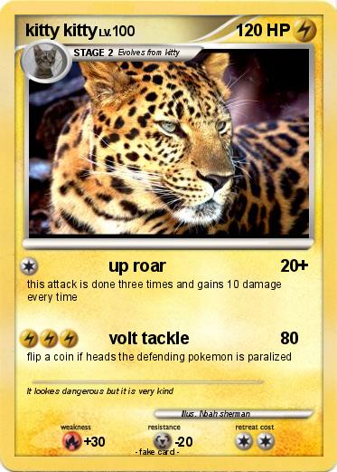 Pokemon kitty kitty