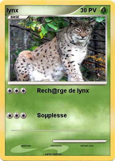 Pokemon lynx