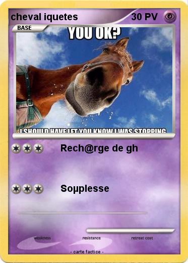 Pokemon cheval iquetes