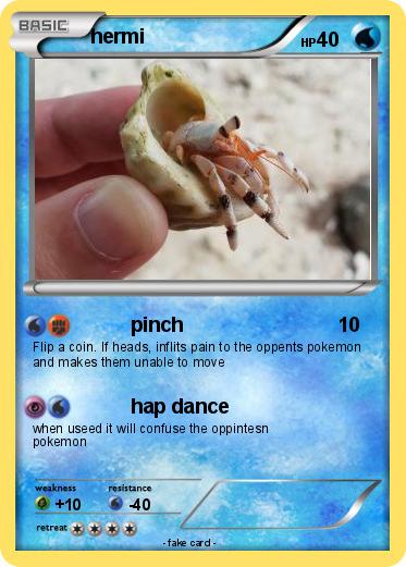 Pokemon hermi