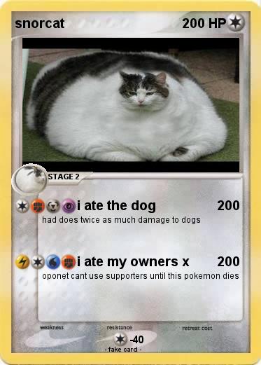 Pokemon snorcat