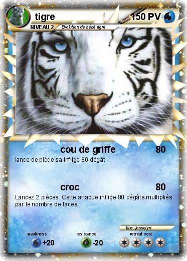 Pokemon tigre