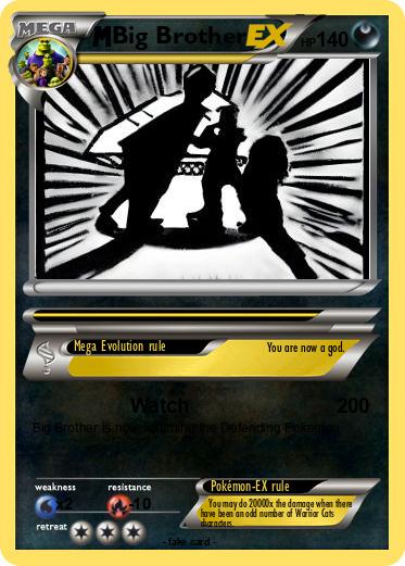 Pokemon Big Brother