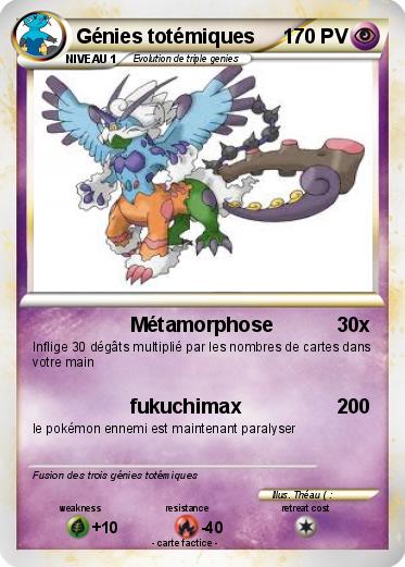 Pokemon Génies totémiques