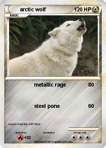 Pokemon arctic wolf