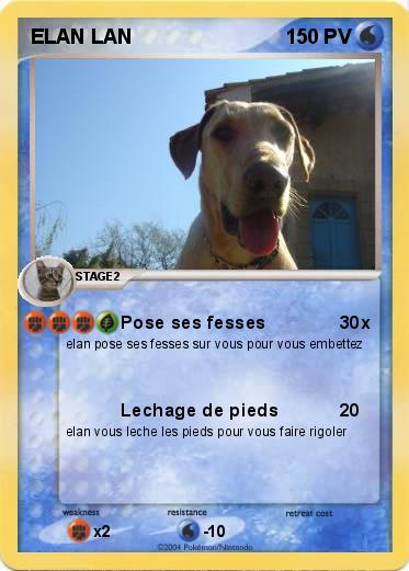 Pokemon ELAN LAN