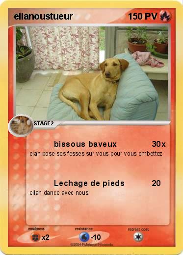Pokemon ellanoustueur