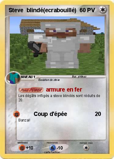 Pokemon Steve  blindé(ecrabouillé)