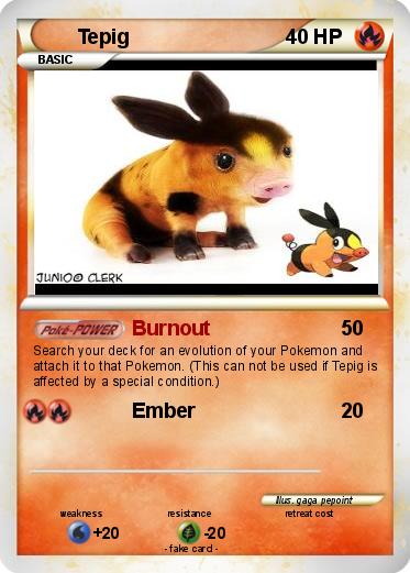 Pokemon Tepig