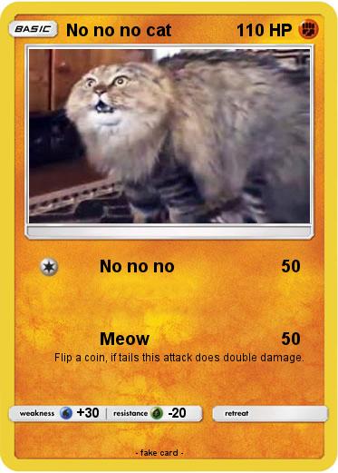 Pokemon No no no cat