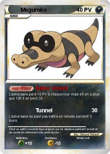 Pokemon Meguroko
