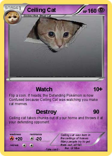 Pokemon Ceiling Cat