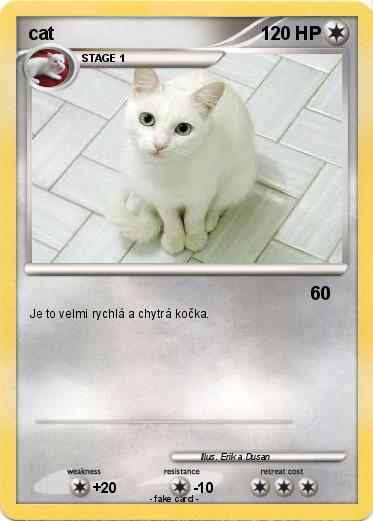 Pokemon cat