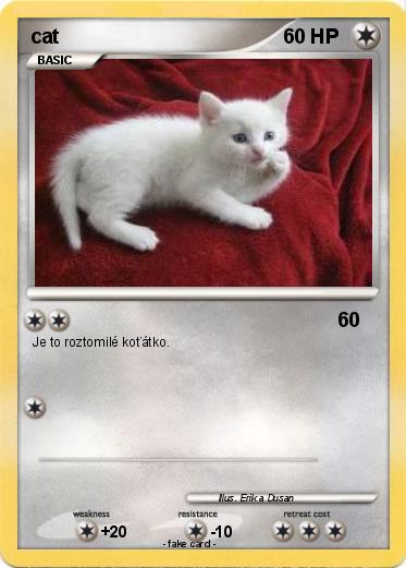Pokemon cat