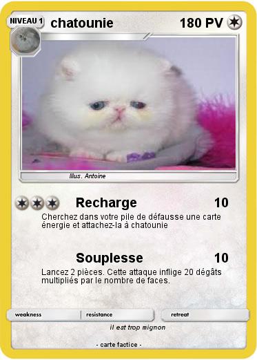 Pokemon chatounie