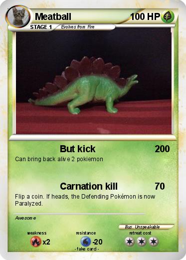 Pokemon Meatball