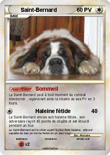 Pokemon Saint-Bernard