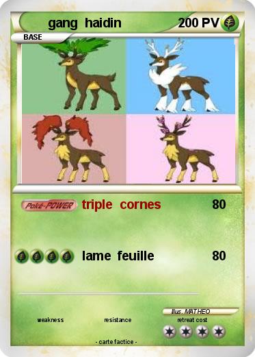 Pokemon gang  haidin