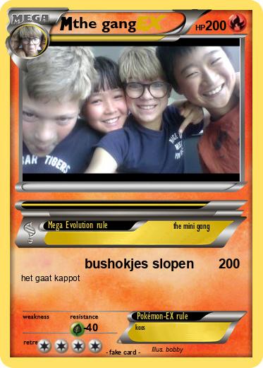 Pokemon the gang