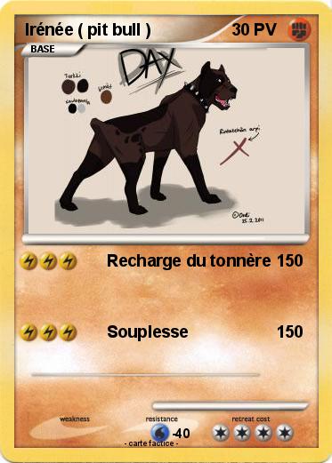 Pokemon Irénée ( pit bull )