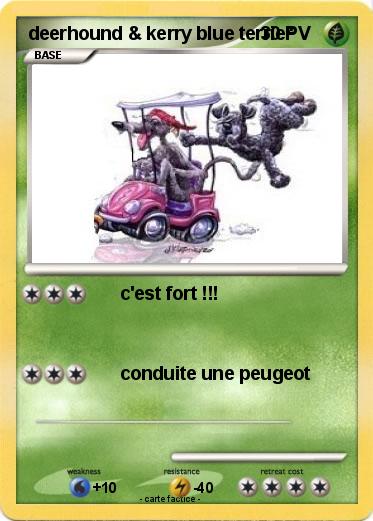 Pokemon deerhound & kerry blue terrier