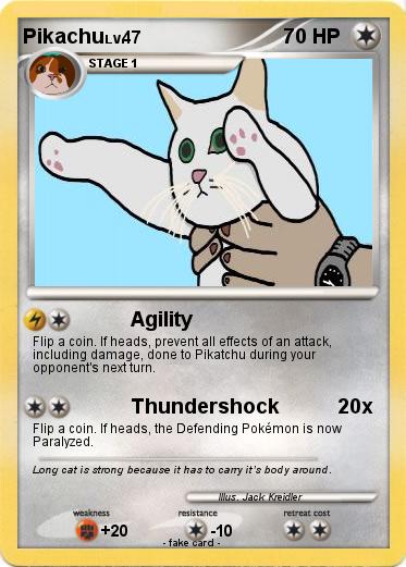 Pokemon Long Cat