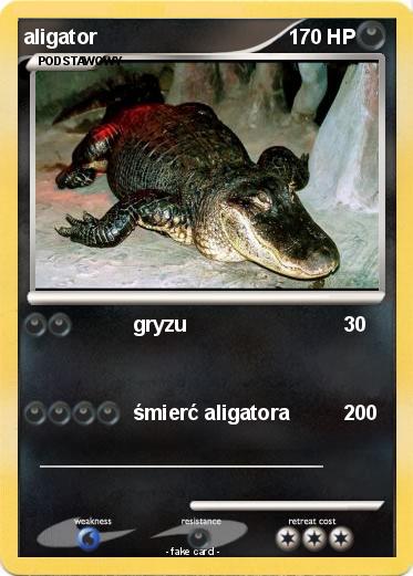 Pokemon aligator
