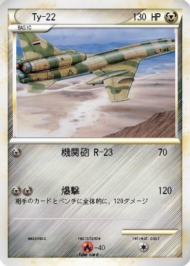 Pokemon Ty-22