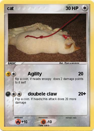 Pokemon cat