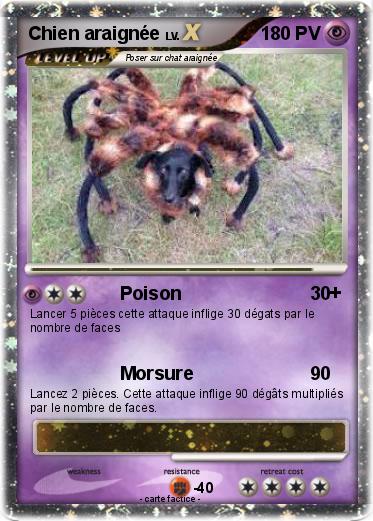 Pokemon Chien araignée