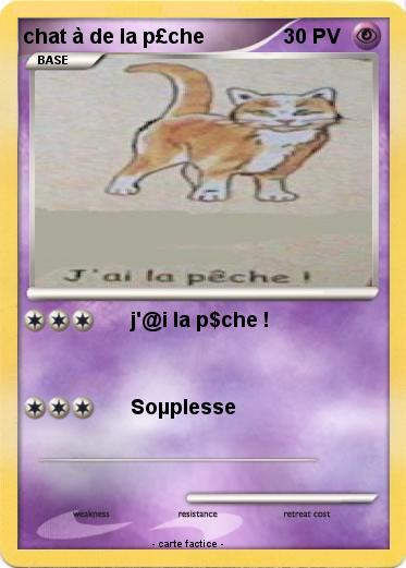 Pokemon chat à de la p£che