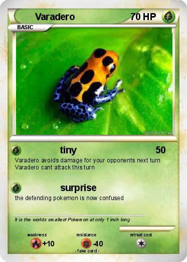 Pokemon Varadero