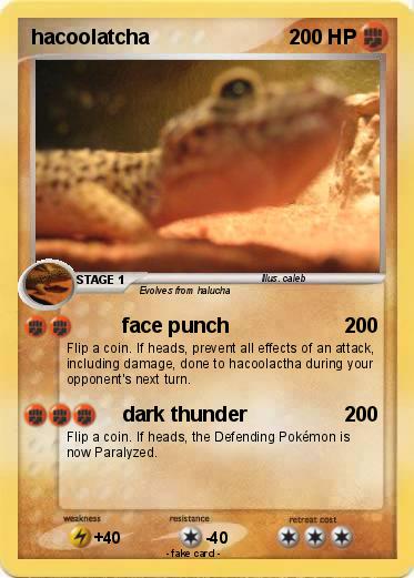 Pokemon hacoolatcha
