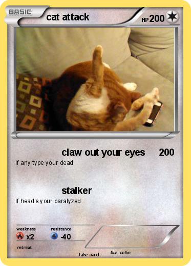 Pokemon cat attack