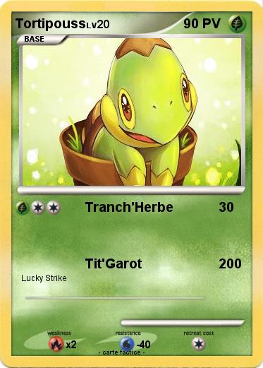 Pokemon Tortipouss