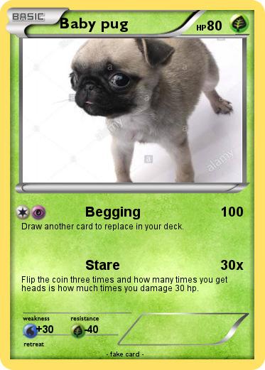 Pokemon Baby pug