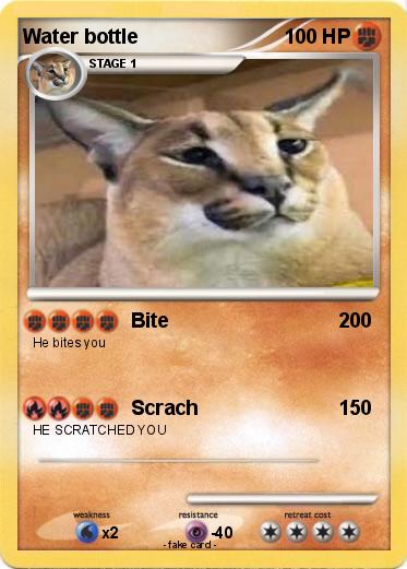 Pokemon Water bottle