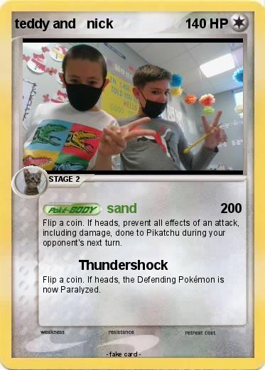 Pokemon teddy and   nick