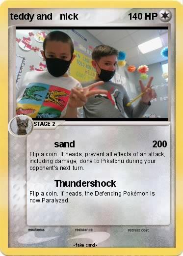 Pokemon teddy and   nick