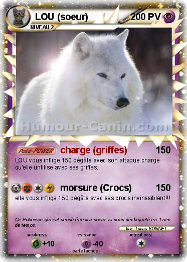 Pokemon LOU (soeur)